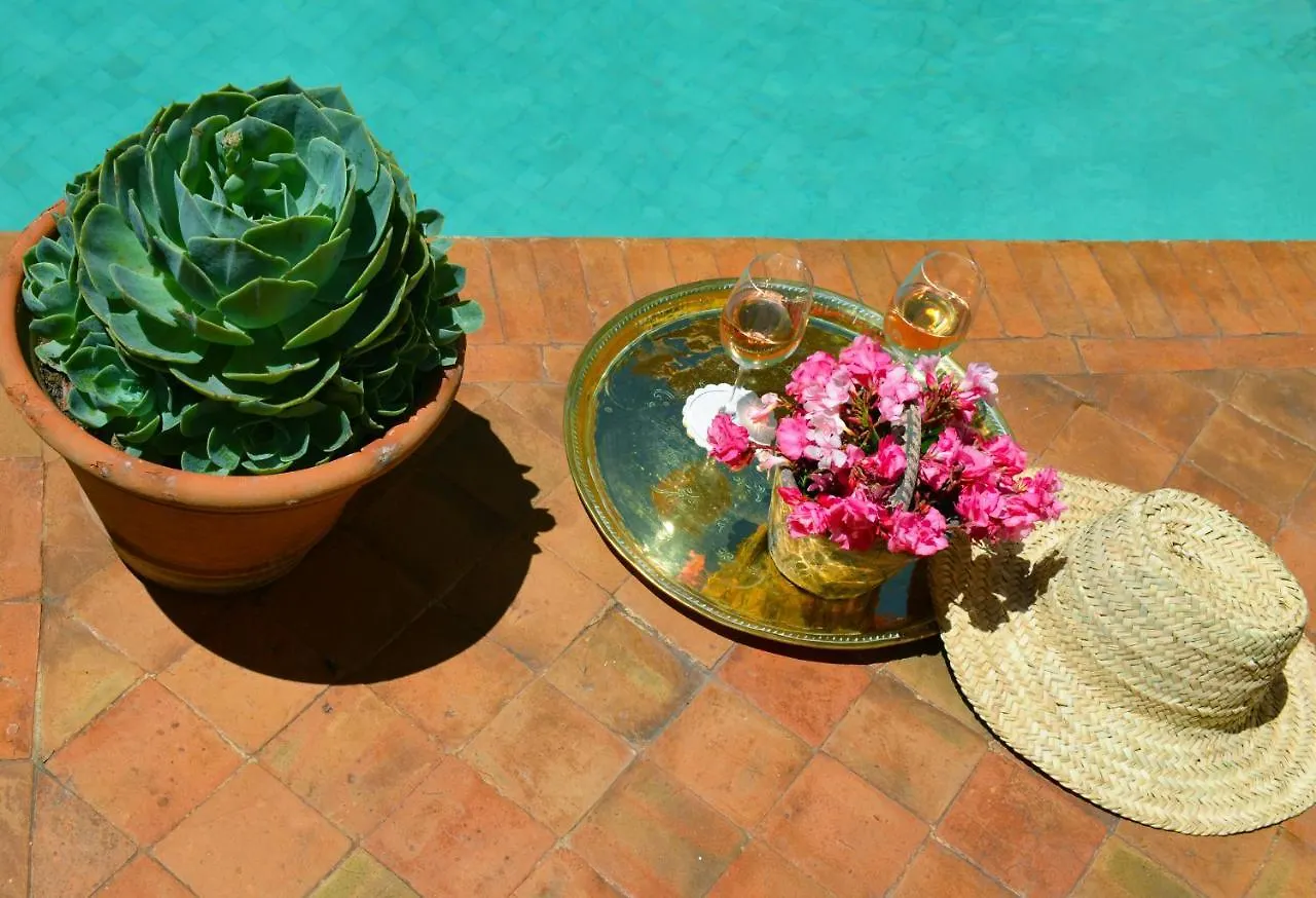 Riad Et Douiria Douceur, Le Charme Marocain, Piscine En Rooftop Marrakesh